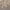 https://res.cloudinary.com/billionhands/image/upload/v1781398079/items/hf4jdcmgaq8fnyhhvwul.png-1cover