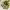 https://res.cloudinary.com/billionhands/image/upload/v1781398329/items/mmywzwtis2mjxtinxti1.jpg-2cover