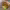 https://res.cloudinary.com/billionhands/image/upload/v1781398331/items/j2lmwyojpppphvjszshi.jpg-2cover