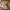 https://res.cloudinary.com/billionhands/image/upload/v1781398334/items/opaqlnqkylmpfbzvhmyr.jpg-1cover