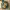 https://res.cloudinary.com/billionhands/image/upload/v1781398338/items/xpplcufke1wm9hnvrvbv.jpg-0cover