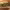 https://res.cloudinary.com/billionhands/image/upload/v1781398343/items/rcbhyk9gegqkvlfuunsp.jpg-2cover