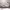 https://res.cloudinary.com/billionhands/image/upload/v1781401007/items/hl8uoccj96txfmzesfc8.avif-0cover