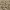 https://res.cloudinary.com/billionhands/image/upload/v1781404676/items/olsub1dcblmch8jfhdsw.avif-0cover
