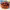 https://res.cloudinary.com/billionhands/image/upload/v1781404801/items/zguvhdtsvdt5negwcalb.jpg-2cover