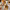https://res.cloudinary.com/billionhands/image/upload/v1781407163/items/fwuirseb1bvgi9iud63g.jpg-0cover