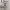 https://res.cloudinary.com/billionhands/image/upload/v1781407220/items/xhiicpttipb9ppea5gvn.jpg-3cover