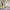 https://res.cloudinary.com/billionhands/image/upload/v1781408696/items/p8rsjsm5pgcezcndqbek.jpg-2cover