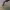 https://res.cloudinary.com/billionhands/image/upload/v1781408796/items/onyr4iucdhwymazfudmn.jpg-3cover