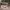 https://res.cloudinary.com/billionhands/image/upload/v1781409228/items/h1rh6kudzeicnegadnep.jpg-0cover