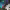 https://res.cloudinary.com/billionhands/image/upload/v1781413566/items/emrn18jjb92u2fa7kbbc.webp-0cover