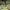 https://res.cloudinary.com/billionhands/image/upload/v1781414270/items/kyuvxrn1yxwxlwhlhjpo.webp-2cover
