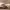 https://res.cloudinary.com/billionhands/image/upload/v1781414585/items/bmzstwtb2xi8n6iaul3g.jpg-1cover