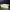 https://res.cloudinary.com/billionhands/image/upload/v1781414586/items/djuexshzskdk4uabkdvu.jpg-3cover