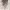 https://res.cloudinary.com/billionhands/image/upload/v1781414624/items/g7gwftq2ek3erlbjtsg1.jpg-1cover