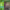 https://res.cloudinary.com/billionhands/image/upload/v1781414942/items/dq9ldcgmvrdjttiyhr0m.jpg-3cover