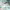 https://res.cloudinary.com/billionhands/image/upload/v1781415724/items/wshwbltj421usi4xdkic.jpg-2cover