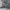 https://res.cloudinary.com/billionhands/image/upload/v1781415799/items/d5koarkfx5ewnzjjo4cm.jpg-2cover