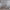 https://res.cloudinary.com/billionhands/image/upload/v1781417190/items/s8dgaplhr7qmqnc1u1tr.webp-3cover