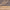 https://res.cloudinary.com/billionhands/image/upload/v1781417915/items/ewgdcq2g2z5jisxyno8t.webp-3cover