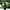 https://res.cloudinary.com/billionhands/image/upload/v1781418043/items/n0bjpj4angfxzfgihs0q.jpg-0cover