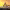 https://res.cloudinary.com/billionhands/image/upload/v1781419420/items/bu5r4frh0aes4hdqal5u.jpg-2cover