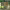 https://res.cloudinary.com/billionhands/image/upload/v1781420022/items/vrlsnhlwvi2mznd5m84a.webp-1cover