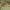 https://res.cloudinary.com/billionhands/image/upload/v1781420022/items/yihklfhzos6osmf7bzia.jpg-0cover