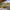 https://res.cloudinary.com/billionhands/image/upload/v1781420031/items/uc1imfsnunw0ncycm5du.jpg-3cover