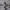 https://res.cloudinary.com/billionhands/image/upload/v1781421325/items/cphtqi8cypkr2unkgp8w.jpg-1cover