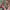 https://res.cloudinary.com/billionhands/image/upload/v1781421946/items/gqmb3thnktzcanriwemg.webp-3cover