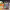 https://res.cloudinary.com/billionhands/image/upload/v1781422793/items/qdsyrqqnmeoupcu1aos0.jpg-1cover