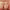 https://res.cloudinary.com/billionhands/image/upload/v1781422800/items/klmsplngttixhdnkkxre.jpg-2cover