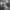https://res.cloudinary.com/billionhands/image/upload/v1781422813/items/gxg8jksrlaittea8gyzo.jpg-0cover