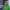 https://res.cloudinary.com/billionhands/image/upload/v1781422876/items/n0p0wu03yigryr5tmp0c.png-3cover