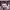 https://res.cloudinary.com/billionhands/image/upload/v1781423023/items/xnmbilkushqexhafcbfq.jpg-3cover