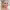 Sarah Michelle Gellar cover