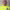 https://res.cloudinary.com/billionhands/image/upload/v1781424441/items/npxtjxvjj0mqlohalbaf.jpg-3cover