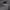 https://res.cloudinary.com/billionhands/image/upload/v1781424692/items/eax2sh472fe4nhabobje.png-1cover