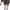 https://res.cloudinary.com/billionhands/image/upload/v1781424709/items/g3achldezmsxwik3kah4.webp-3cover