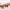 https://res.cloudinary.com/billionhands/image/upload/v1781425076/items/hq3grrecb5abbk1c52uq.webp-2cover