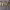 https://res.cloudinary.com/billionhands/image/upload/v1781425542/items/stlk2ftfe5cjhiazgzsl.webp-0cover
