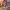 https://res.cloudinary.com/billionhands/image/upload/v1781425724/items/pi4yolun4ogmbezu1tpr.jpg-1cover