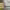 https://res.cloudinary.com/billionhands/image/upload/v1781427739/items/syh8sdk322x0ytmhug7m.webp-1cover