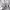https://res.cloudinary.com/billionhands/image/upload/v1781428532/items/x6r3msr5g65ypzkf5bxi.webp-1cover