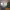 Rio 2016 Olympic Village Accommodation Problems cover