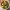 https://res.cloudinary.com/billionhands/image/upload/v1781429655/items/vmoin3z0fv9sruqu5qui.jpg-2cover
