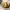 https://res.cloudinary.com/billionhands/image/upload/v1781430992/items/ek5crtijpkhbwcttlxyn.webp-1cover