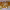 https://res.cloudinary.com/billionhands/image/upload/v1781431067/items/bbmqzpidvrwsgjklnfaz.webp-0cover