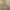 https://res.cloudinary.com/billionhands/image/upload/v1781434721/items/tnckckls7lz0viqhzmuh.avif-2cover